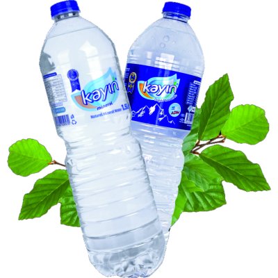 Kayın Su 1.5LT 6LI
